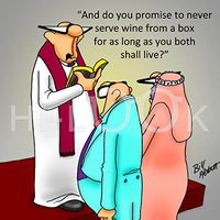 Hi-Look Microfiber Cleaning Cloth - Wine from a Box