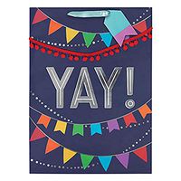 Amscan 170477 Gift Bags, 17"H x 12 1/2"W x 6"D, Multicolor