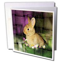 3dRose Rabbit - Greeting Cards, 6 x 6 inches, set of 12 (gc_4818_2)
