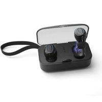 Bluetooth 5.0 True Wireless Mini Earbuds Pods Buds Headset with Portable Charger (Black)