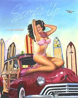 Hi-Look Microfiber Cleaning Cloth - Big Kahuna Bebe