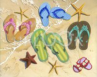 Hi-Look Microfiber Cleaning Cloth - Flip-Flop Family