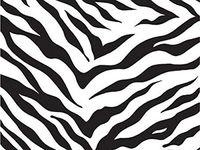 Animal Print - Zebra Stripes Gift Wrap 7-3/8"x100' Gift Wrap Jeweler's Roll (3 Rolls) - Wraps -M2127JW