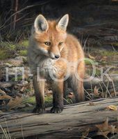 Hi-Look Microfiber Cleaning Cloth - Venturing Out