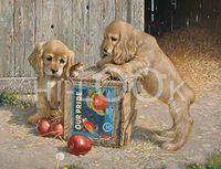 Hi-Look Microfiber Cleaning Cloth, dog design - Double Take - Golden Lab