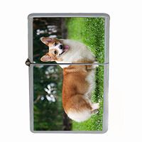 Dog Corgi 02 Dual Torch Lighter