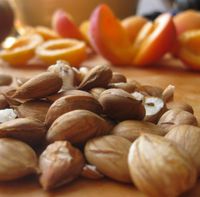 Apricot Kernel Oil 125ml