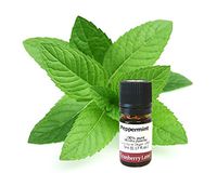 Peppermint (3rd dist.) 100% Pure Essential Oil 5ml