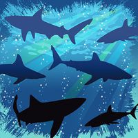 Creative Converting 655887 3 Ply Beverage Napkins Shark Splash 192 Counts