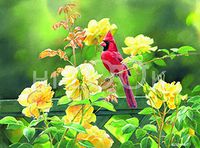 Hi-Look Microfiber Cleaning Cloth - Cardinal and Yellow Rose