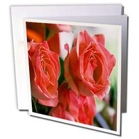 3dRose Three Deep Pink Roses - Greeting Cards, 6 x 6 inches, set of 6 (gc_6905_1)
