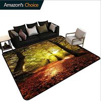 Bigdatastore Fall Patchwork Runner Rugs, Blurry Hazy View of Forest Defoliation Mysterious Dramatic Dreamlike View, Durable Rugs - Living, Dinning, Office, Rooms & Bedrrom, Hallway Carpet(2'x 3')