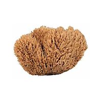 Acme Sea Wool Sponge 8 " - 9 "