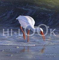 Hi-Look Microfiber Cleaning Cloth - Ibis