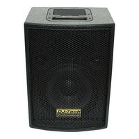 DJTECH VEGAS10 300-Watt Channel Unpowered Speaker Cabinet
