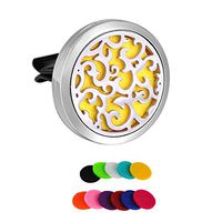 HooAMI Vine Wing Car Air Freshener Aromatherapy Essential Oil Diffuser - 316L Stainless Steel Locket with Vent Clip