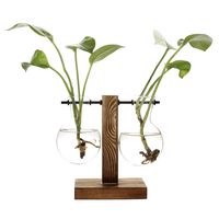 Water Planting Glass Vase,Clear Glass Vase Hanging Plant Terrarium with Retro Solid Wooden Stand for Hydroponics Plants Home Garden