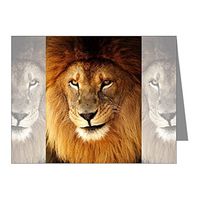 Note Cards (10 Pack) Male Lion King of the Jungle