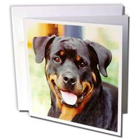 3dRose Rottweiler - Greeting Cards, 6 x 6 inches, set of 6 (gc_4368_1)