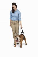 PetSafe CareLift Rear Support Harness - Lifting Aid with Handle and Shoulder Strap - Great for Pet Mobility and Older Dogs - Comfortable, Breathable Material - Easy to Adjust - Medium