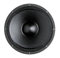 B&C 15PS100 15" Super Woofer