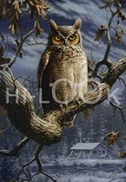 Hi-Look Microfiber Cleaning Cloth - Midnight Owl