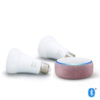 Echo Dot (3rd Gen) Plum Bundle with Philips Hue White & Color Ambiance 2-Pack A19 Smart Bulbs, Bluetooth & Zigbee compatible (No Hub Required)