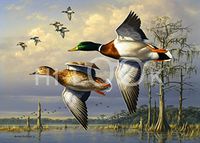 Hi-Look Microfiber Cleaning Cloth - Cypress Swamp - Mallard
