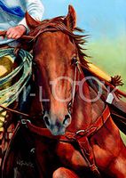 Hi-Look Microfiber Cleaning Cloth - Working Class