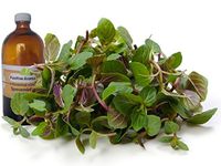 Spearmint 100% Pure Essential Oil100ml