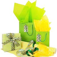 Complete Paper Wrapping Set, Tropical Toucan Design with Bags and Tags, Ribbons, Wrapping Paper and Tissue Paper for All Occasions, Green
