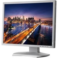 NEC P212 MultiSync 21.3" Screen LED-Lit Monitor
