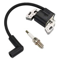 LIYYOO 593872 799582 798534 Ignition Coil + Spark Plug for Briggs & Stratton 08P502 09P602 09P702 Armature Magneto Lawn Mower Engines