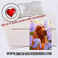 Michael Steddum Iris Setter Head Study Note Card Set