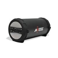 AXESS SPBT1041 Portable Thunder Sonic Bluetooth Cylinder Loud Speaker with Built-In FM Radio, SD Card, USB, AUX Inputs in Silver