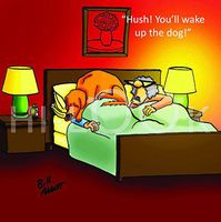 Hi-Look Microfiber Cleaning Cloth - wake the dog