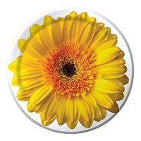 Creative Converting 8 Count Sturdy Style Paper Dessert Plates, 7", Flower Fantasy