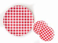 180 Degrees Red Gingham Melamine Plates (4 plates 9" Inch diameter and 1 plate 16 inch diameter)