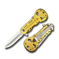 Rtek 3.5" Heavy Metal Skull Skeleton Key Punisher Spring Assisted Folding Pocket Knife 4 Colors Gold, Titanium, Silver, Blue with Belt Clip (Gold)