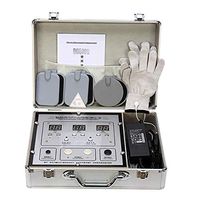 T-king DDS Bio-Electric Acid and Alkali Flat Massager-Beauty and Physiotherapy Home Multi-Function Meridian Electrotherapy