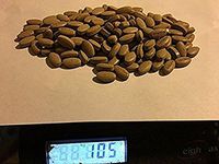 Jing Jie, Schizonepeta herb, 100 CT of Oval Tablet-(500mg) by baicao