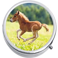 Baby Brown Horse Foal Medicine Vitamin Pill Box