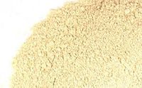 Astragalus Root Powder (1 lb)