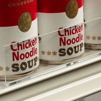 36" L Clear Gondola or Wood Shelf Lip - 1.25" H Acrylic Front Fence w/Nylon Buttons - 20 Pack