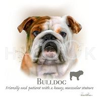 Hi-Look Microfiber Cleaning Cloth, dog design - Bulldog
