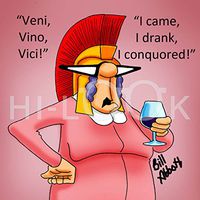 Hi-Look Microfiber Cleaning Cloth - veni vino vici