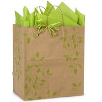 NW Ivy Lane Paper Shopping Bags - Regal Size - 14 1/2 x 9 x 16 1/4in. - 200 Pack