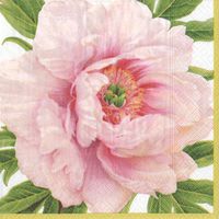 Cocktail Napkins Paper for Bridal Shower Wedding Birthday Party Spring Blush Pk 40