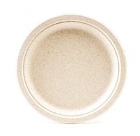 10" 100% Compostable Plate, Heavy Duty, Attractive Marbled Finish Dinnerware (250)