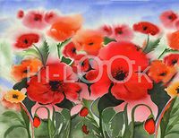 Hi-Look Microfiber Cleaning Cloth - Poppies